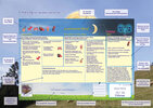 Romanus Gesundheitsmond Mondkalender 2024, Tischkalender